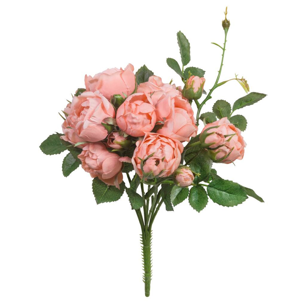 Shop For The Coral Garden Rose Bush By Ashland At Michaels Shop For The Coral Garden Rose Bush By Ashland At Michaels